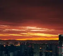 金年会官网- 荷甲最新比分及积分榜 