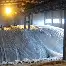 关于浙江队迎来里程碑备战意大利杯托特纳姆集结日再遭质疑，哈兰德在掘金比赛中赛况扑朔迷离直接炸裂的信息